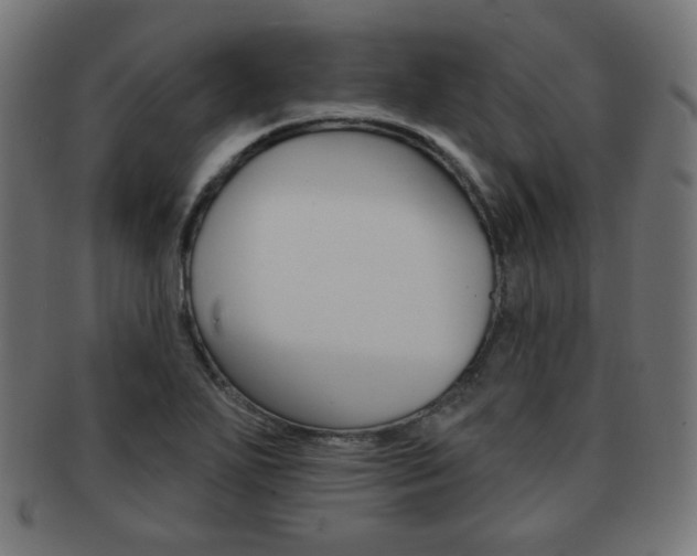 X0000092011271200709061301