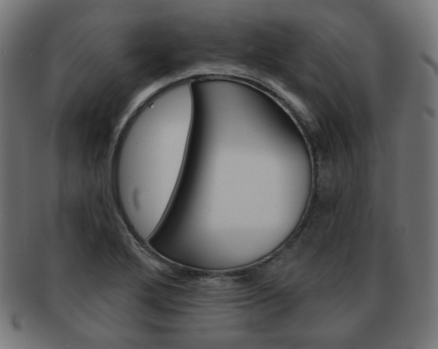 X0000092011272200709061301