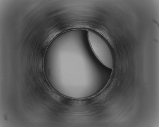 X0000092011273200709061301