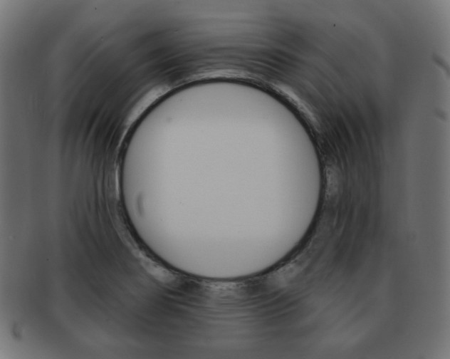 X0000092011274200709061301