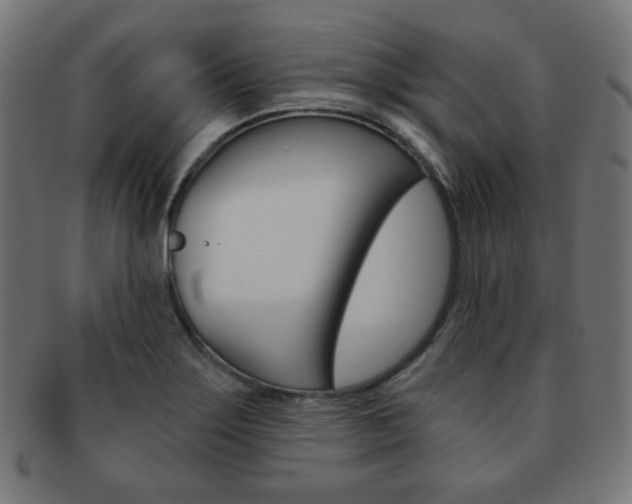 X0000092011275200709061301