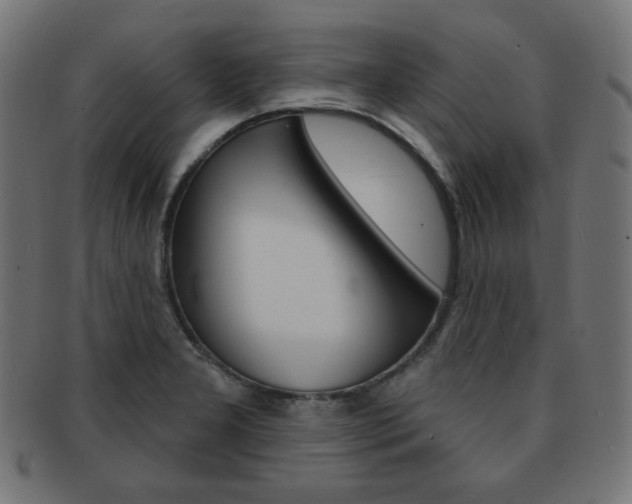 X0000092011277200709061301
