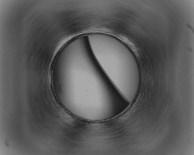 X0000092011280200709061301