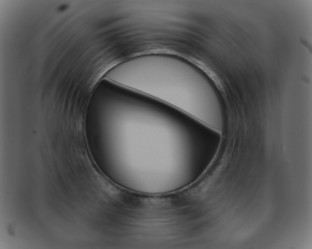 X0000092011281200709061301