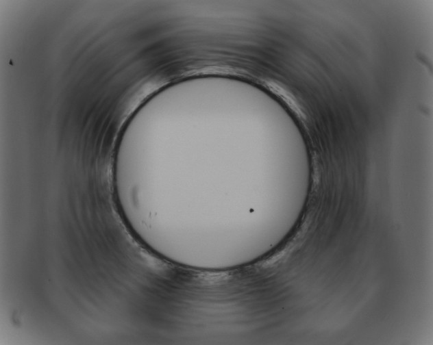 X0000092011282200709061301