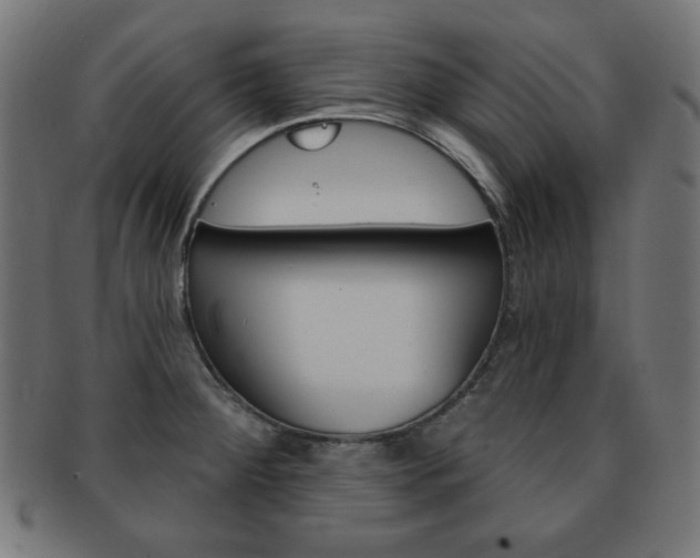 X0000092011284200709061301