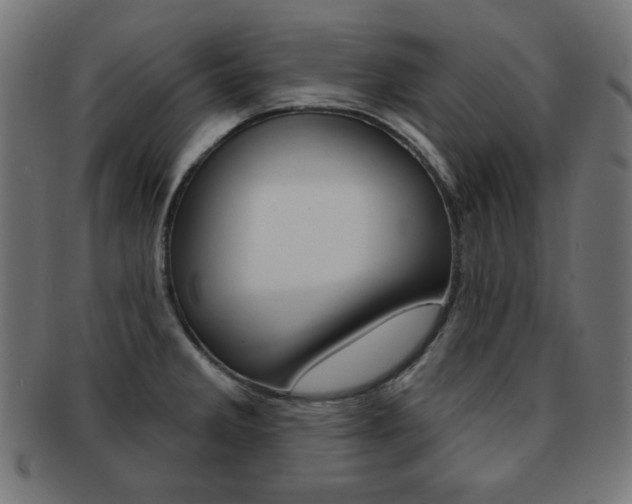 X0000092011285200709061301