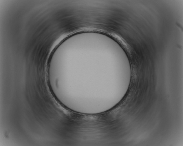 X0000092011286200709061301