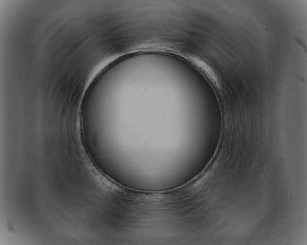 X0000092011288200709061301