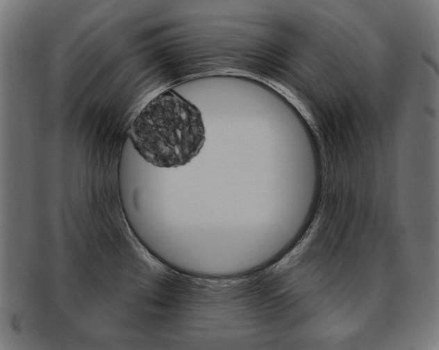 X0000092011289200709061301
