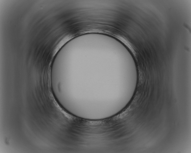 X0000092011290200709061301