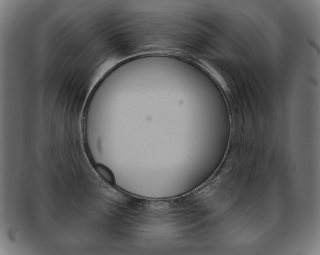 X0000092011291200709061301