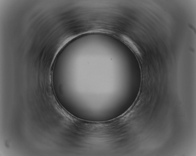 X0000092011292200709061301