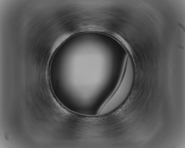 X0000092011293200709061301