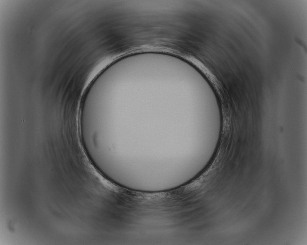 X0000092011294200709061301