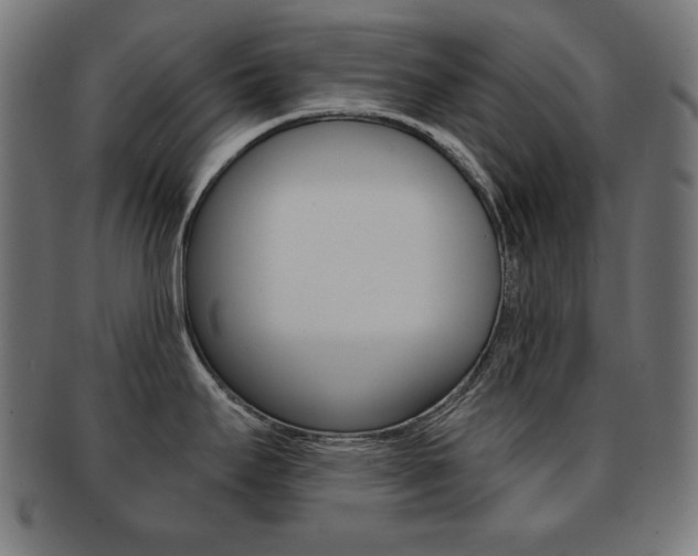 X0000092011295200709061301