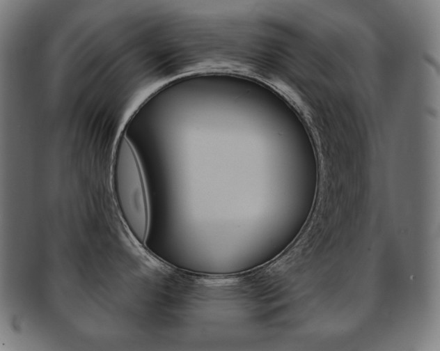X0000092011296200709061301