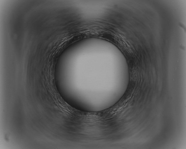 X0000092011297200709061300