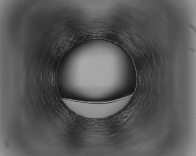 X0000092011298200709061300
