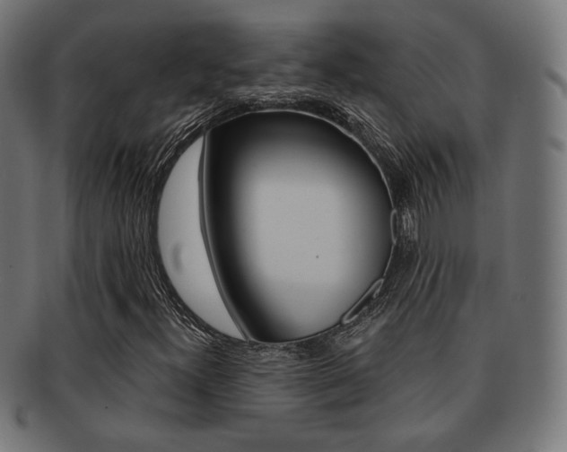 X0000092011300200709061300