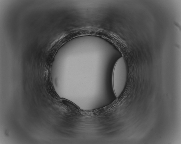 X0000092011302200709061300