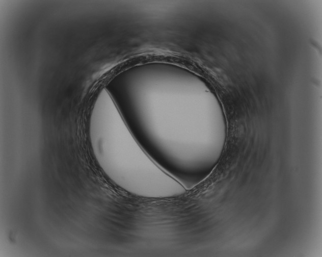 X0000092011303200709061300