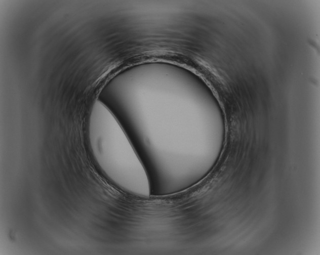 X0000092011305200709061300
