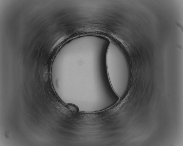X0000092011306200709061300