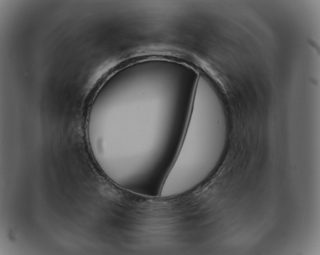 X0000092011312200709061300