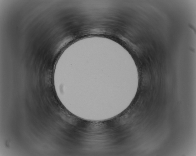 X0000092011314200709061300
