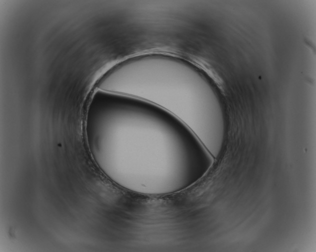 X0000092011316200709061300