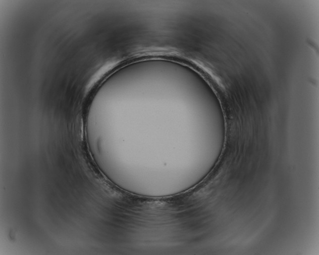 X0000092011317200709061300