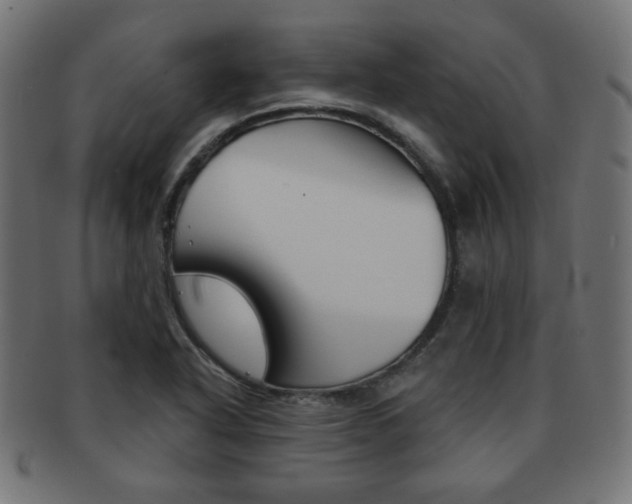 X0000092011318200709061300