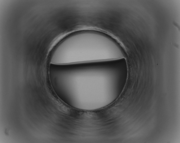 X0000092011319200709061300