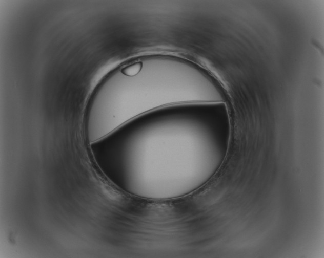 X0000092011320200709061300