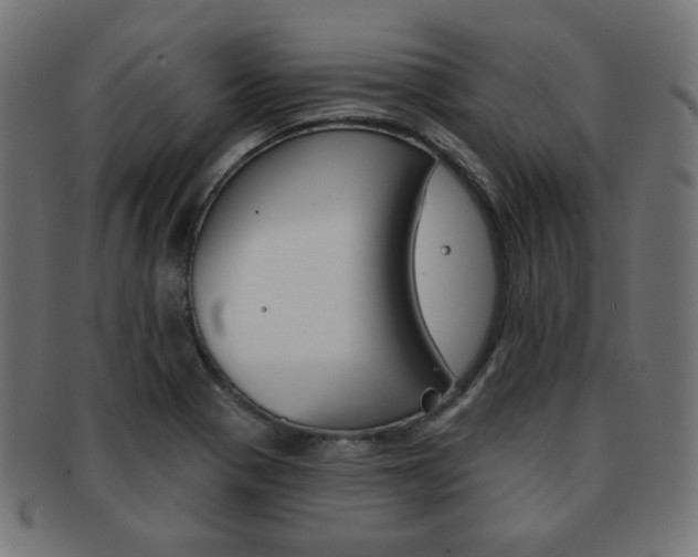 X0000092011321200709061300