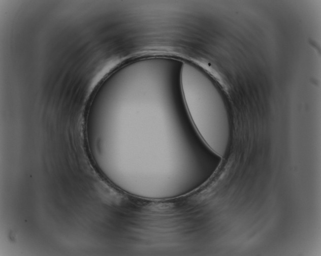 X0000092011325200709061301