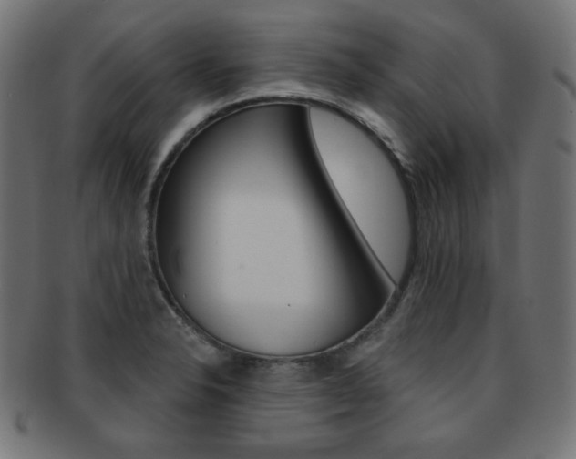 X0000092011326200709061301