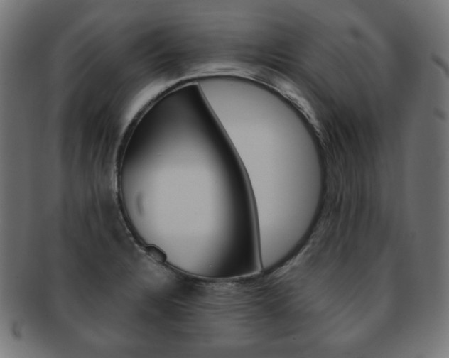 X0000092011328200709061301