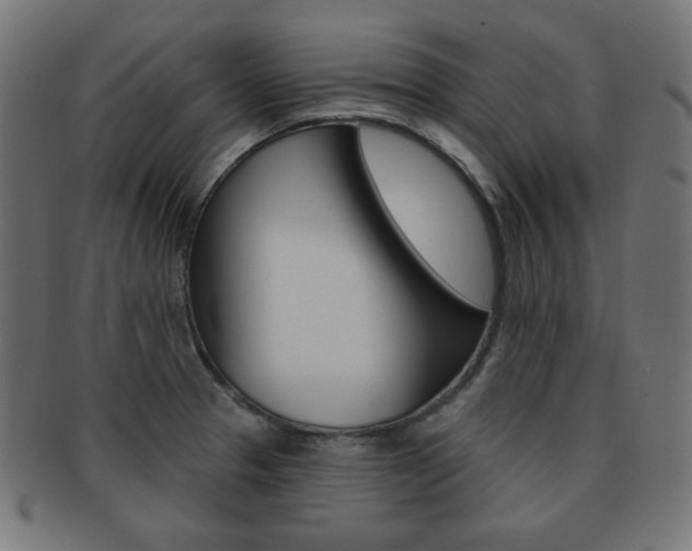 X0000092011329200709061301