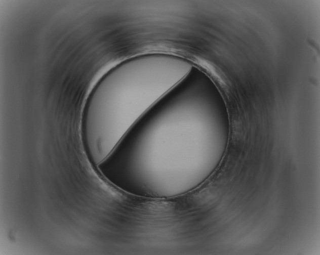 X0000092011331200709061301
