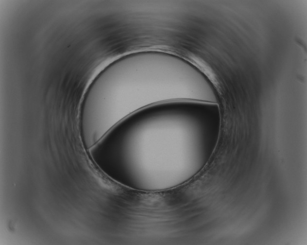 X0000092011332200709061301