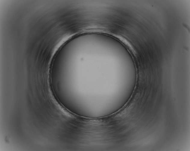 X0000092011333200709061301