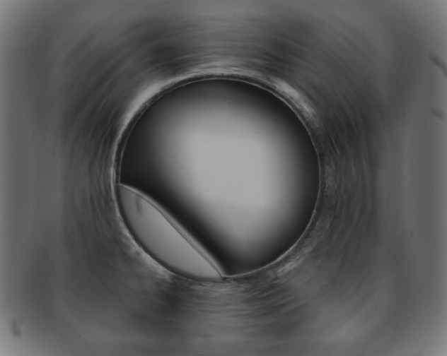 X0000092011334200709061301