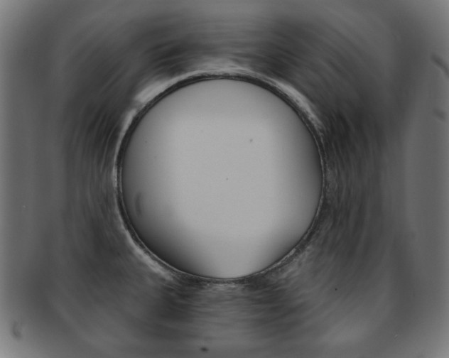 X0000092011335200709061301