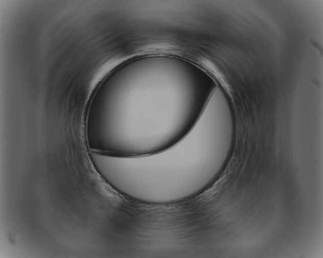 X0000092011336200709061301