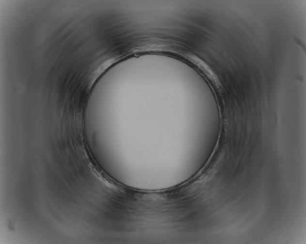 X0000092011337200709061301