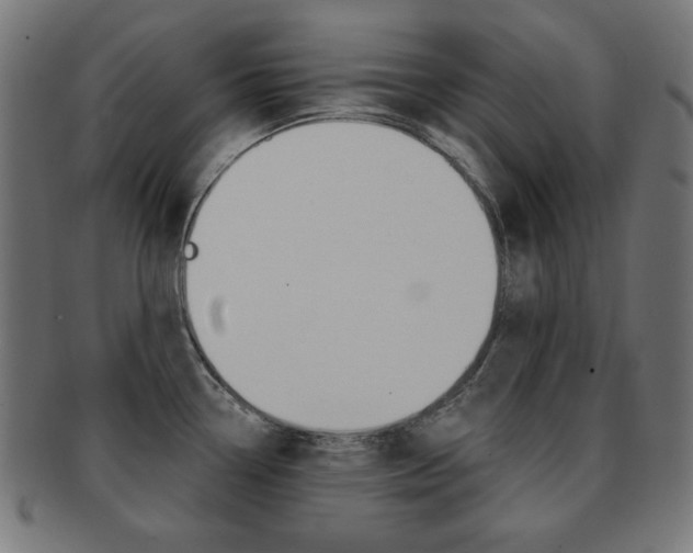 X0000092011338200709061301