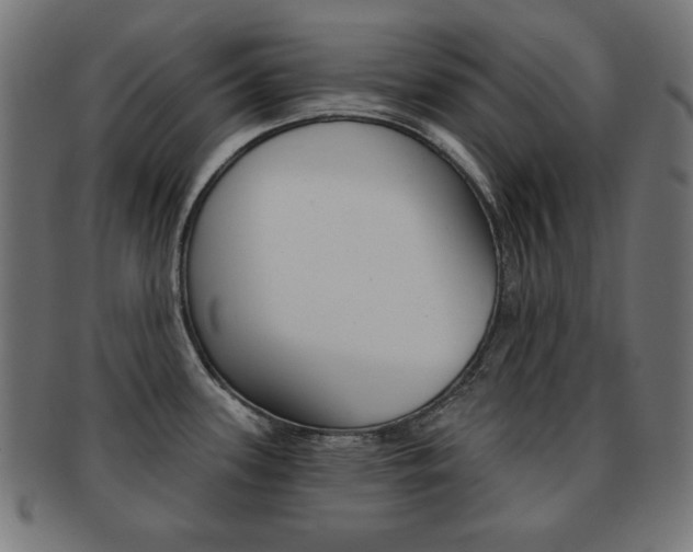 X0000092011339200709061301