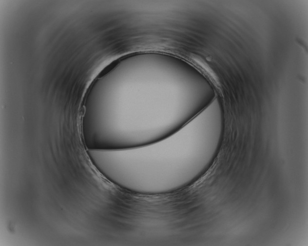 X0000092011340200709061301